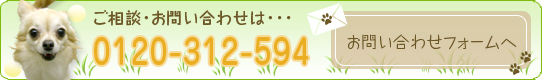 �����k�E���₢���킹�́E�E�E0120-66-4194�@���₢���킹�t�H�[����