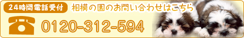 24���ԓd�b��t�@���͂̉��̂��₢���킹�͂�����@0120-66-4194