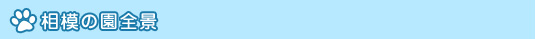 ���͂̉��S�i